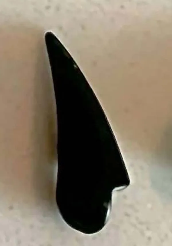 Devil [Black] | HORNS [Set of 2]